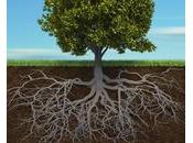 Comment déraciner pauvreté Afrique