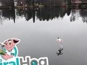 Comment poser dallage