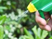 pesticides chimiques pour jardiniers amateurs sont interdits depuis janvier 2019