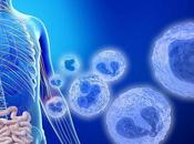 MICROBIOTE INTESTINAL Vers modélisation