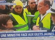 @AnnickGirardin #Chouard #Giletjaune, grand moment #Confusionnisme
