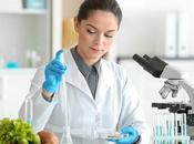 ALIMENTATION VIEILLISSEMENT nutriments renforcent connectivité cerveau