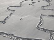 Mais...Comment nombril a-t-il fait