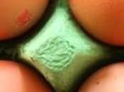 ALIMENTATION jour pour conjurer risque diabète