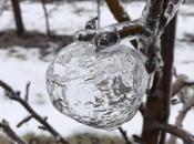 Froid polaire pommes fantômes transparentes dans Michigan