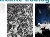 MONTPELLIER Sandrine Ygrié expose mars