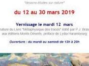 Galerie Capitale exposition Guillaume BEAUGE 12/30 Mars 2019