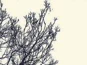 Jacques Ancet, Image récit l’arbre saisons Angèle Paoli