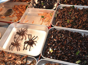 L'avenir l'humanité