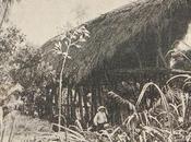 Ramu Expeditions 1896-1898