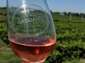 Gagliano aura vins