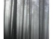 Même avec iPhone vous pouvez gagner concours photographies