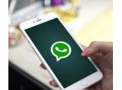Comment sauvegarder sélectivement données WhatsApp iPhone Android