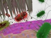 INJECTION, VACCINATION patch microaiguilles solubles évite tout risque d’infection