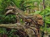 L’écologie n’est rien d’autre qu’une interrogation notre rapport monde