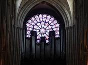 Notre Dame toujours lumineuse (2/3)