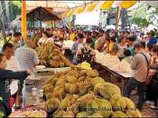 Samut Sakhon Boun d'exception: tonnes durian gratuit pour 10.000 personnes