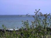 ptits poings rageurs