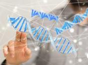 ALZHEIMER Découverte variants génétiques associés spécifiquement maladie