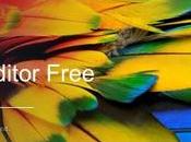 Movavi Photo Editor Free logiciel traitement photo