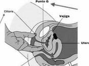 L'éclat rire semaine