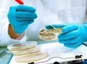 MICROBIOME modèle multi-bactéries pour décrypter leurs interactions