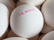 signifie code imprimé œufs