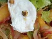 Courgette, nectarine burrata salade