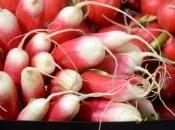 Maison Colom légumes propres