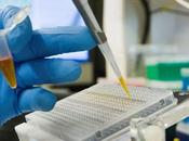 DIABÈTE Pourquoi cellules passent bêta delta