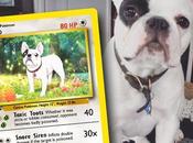 Elle réalise cartes Pokemon l’effigie votre animal compagnie