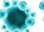 INFECTION Pour lutter contre bactériophages, bactéries font sieste
