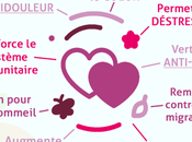 Santé sexuelle active permettrait vivre plus longtemps