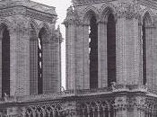 Notre Dame Paris Reine Douleur, Sylvain Tesson