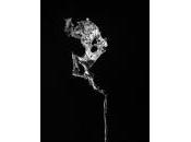 (Note lecture), Sylvain Tanquerel, Katrin Backes, Bleigiessen. vision plomb, Mathieu Jung