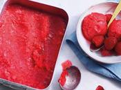 Comment faire sorbet framboise thermomix