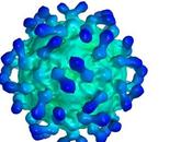 CANCER VESSIE virus rhume pour venir bout