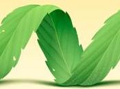 CANNABIS molécules antalgiques sont fois plus puissantes l'Aspirine