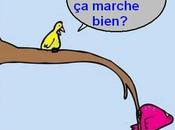 méthode plus sûre pour calculer poids idéal