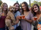 Craft beer meilleures choses l'Oktoberfest Fremont, plus grand festival bière Seattle Bière blonde