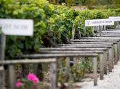 Cordeillan-Bages Table Vins d’exception