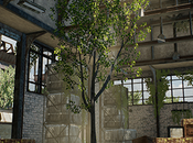 PUBG LITE annonce arrivée dans pays partir octobre