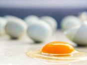 ALZHEIMER choline pour échapper