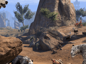 Avec #SlayDragonsSaveCats Bethesda fait geste pour animaux domestiques