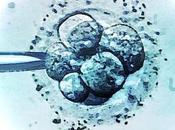 Bioéthique 2019 attention, embryons humains sont &quot;amas cellules&amp;quot;