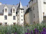 J’ai retrouvé bottes sept lieues.