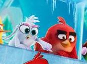 [Cinéma] Angry Birds Copains comme cochons