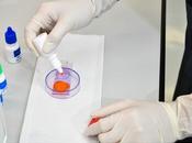 FERTILITÉ tomates pour revigorer sperme