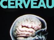 ventre notre deuxième cerveau