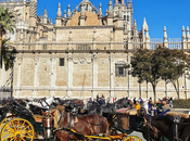 Sevilla, magnifique